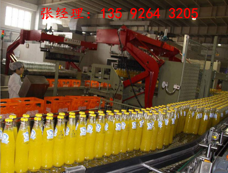 發(fā)酵型果蔬汁飲料生產(chǎn)設備|果漿果汁生產(chǎn)線設備廠家
