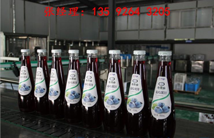 全自動果酒生產(chǎn)線設(shè)備廠家